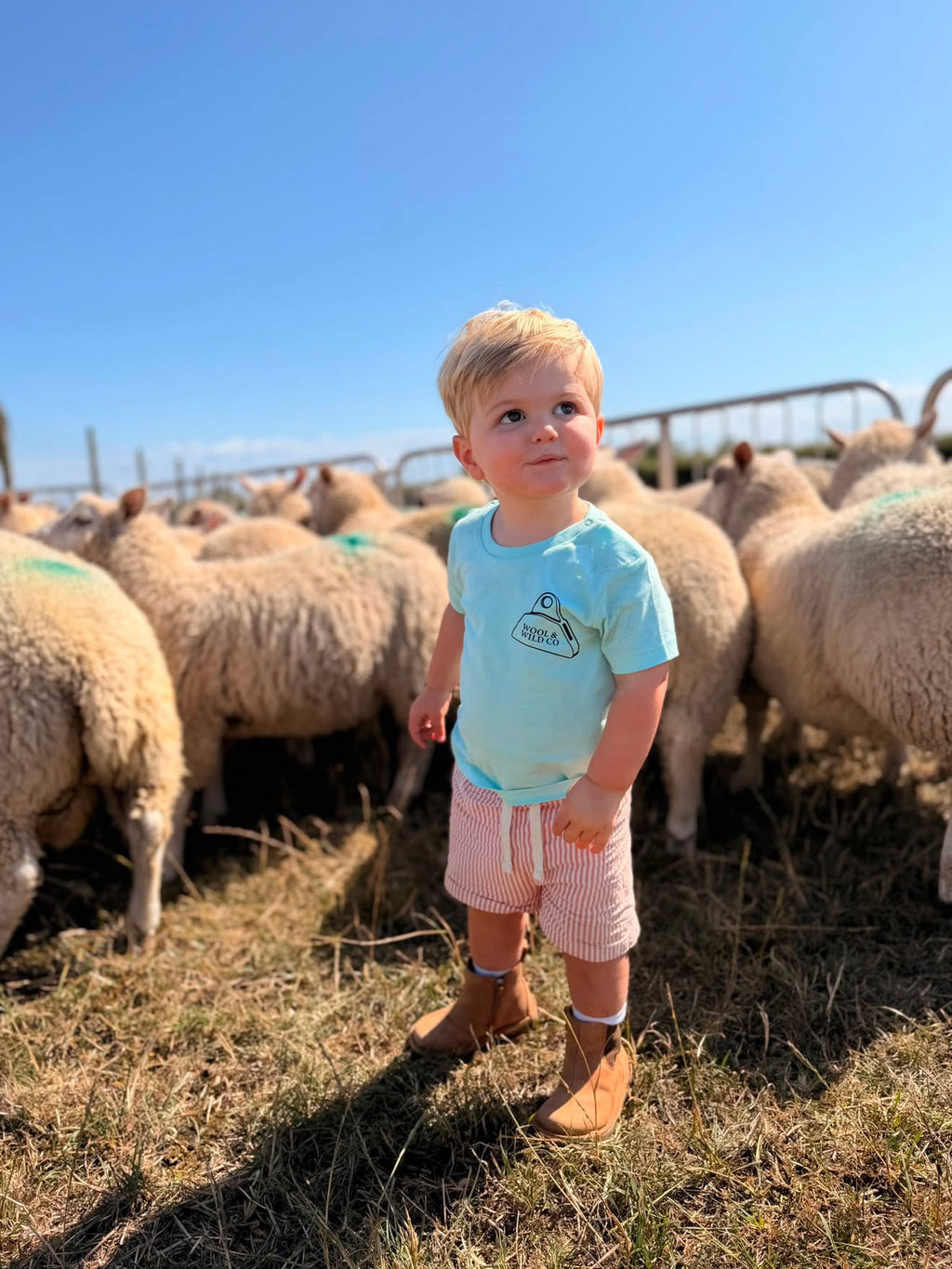 Mini Farmer Shepherd Tshirt