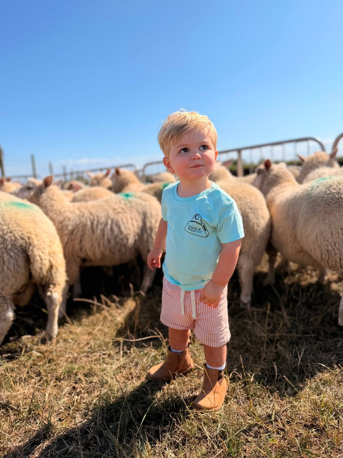 Mini Farmer Shepherd Tshirt